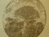 Artist Roland Ayers