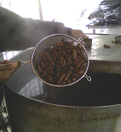 hotpeanuts250