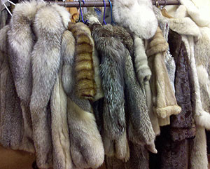 To wear fur or not | Auction Finds