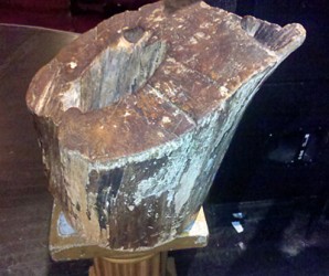 Rubbing the Apollo’s fabled ‘Tree of Hope’ - Auction Finds